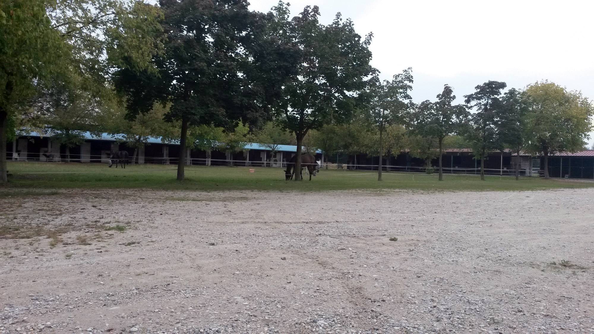 Circolo Equestre di Spresiano Circolo Equestre di Spresiano